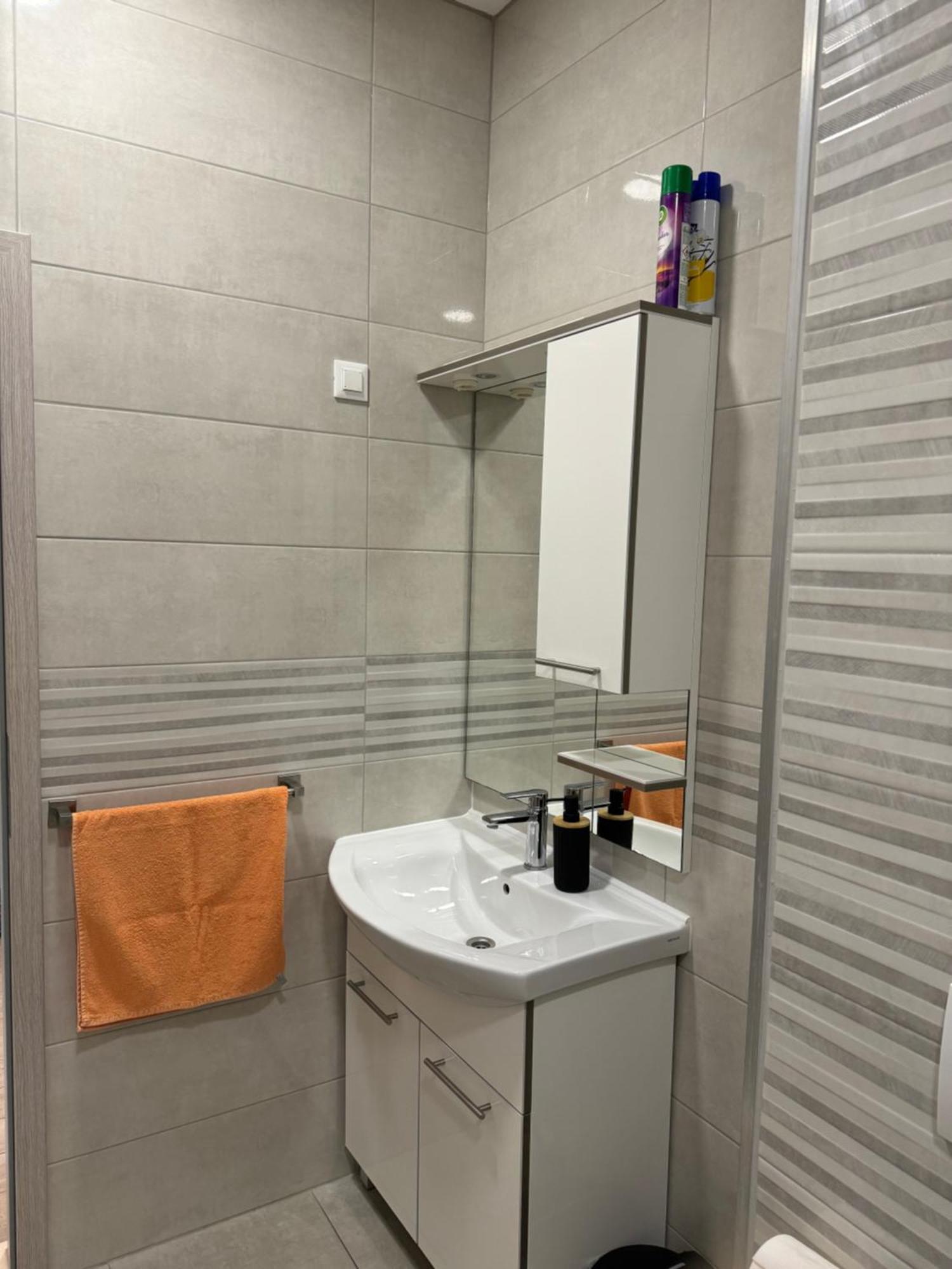 Oki Apartment Gradac  Bagian luar foto
